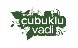ÇUBUKLU VADİ